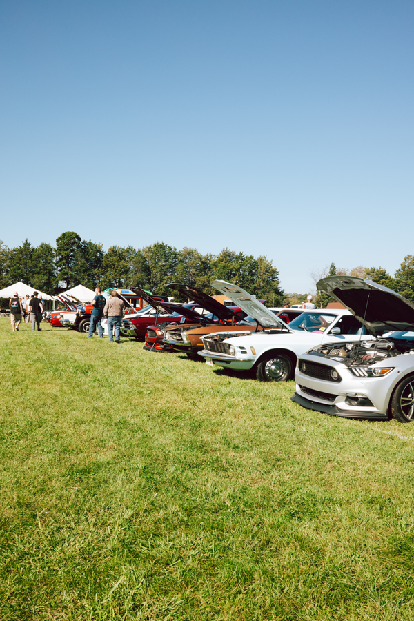 Kooks Kruise In 2026